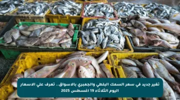 تغير جديد في سعر السمك البلطي والجمبري بالأسواق.. تعرف على الأسعار اليوم الثلاثاء 19 أغسطس 2025